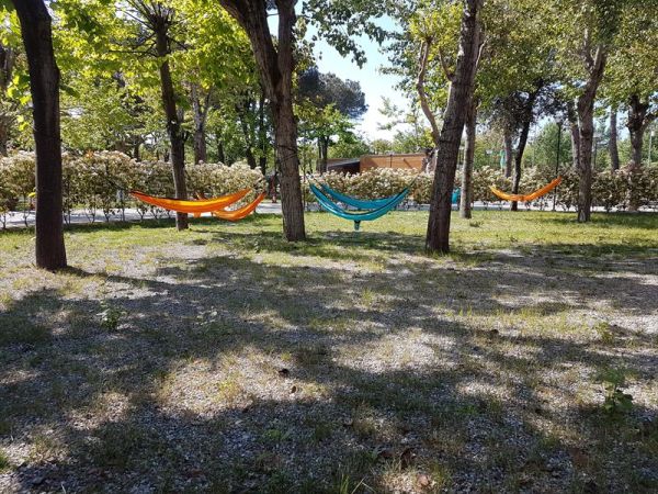 Camping Taim - foto 43212.jpg