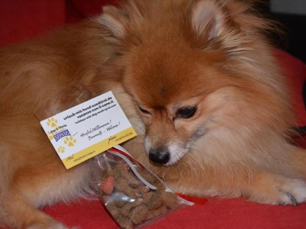 Hotel Sonja - foto 43441.jpg