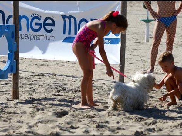 Maremoto Beach - Villaggio Bagni 14 e 15  - foto 43501.jpg