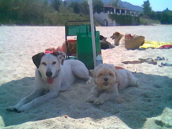 Casale di Tocco - foto 43530.jpg