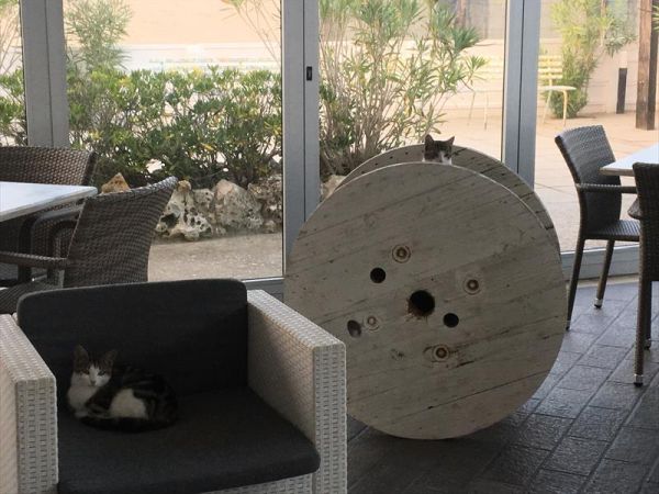 Bagno Trocadero  - foto 43660.jpg