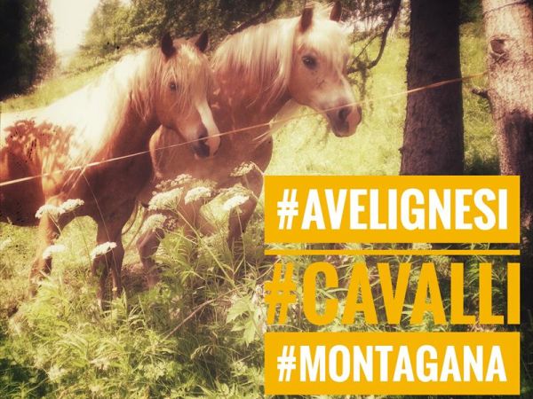 Rifugio Serot - foto 43751.jpg