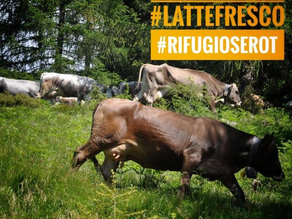 Rifugio Serot - foto 43755.jpg