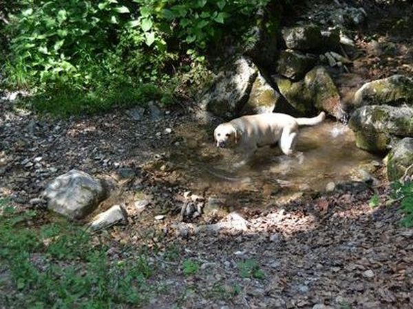 B&B Rainbow House - foto 13315.jpg