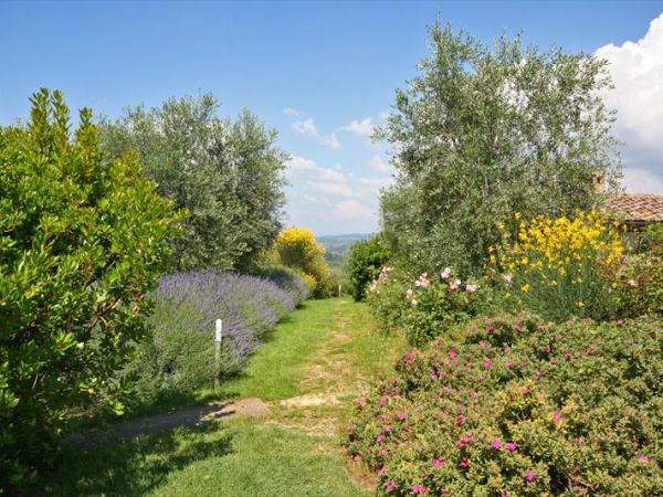 Podere Il Pino - foto 43827.jpg