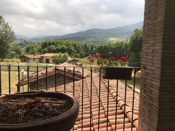 Societ Agricola Il Pianetto - foto 43858.jpg