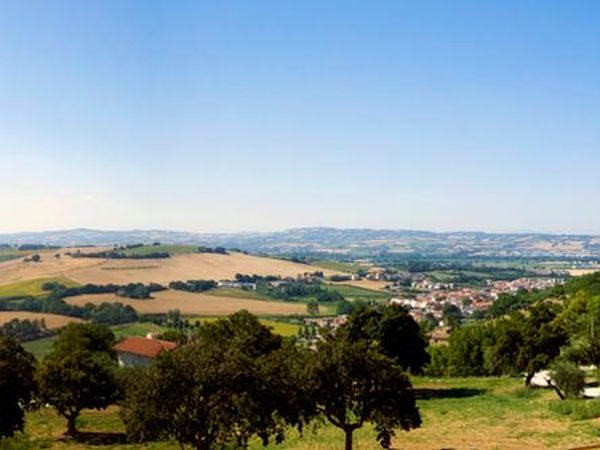 Agriturismo il Falco - foto 43941.jpg