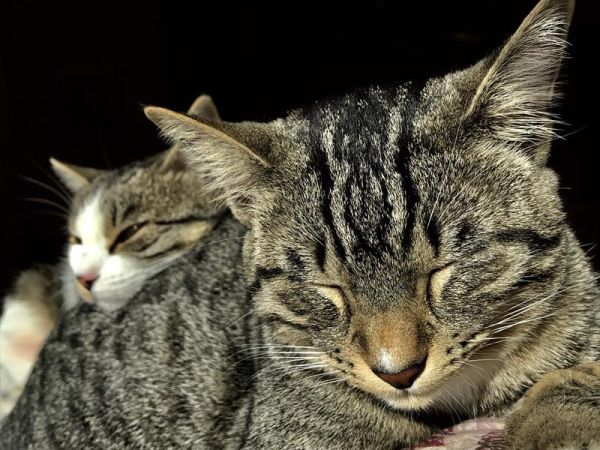 Agriturismo Domus Santa Croce - foto 44063.jpg