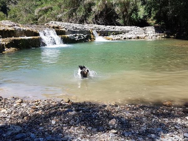 Agriturismo San Ottaviano - foto 44082.jpg