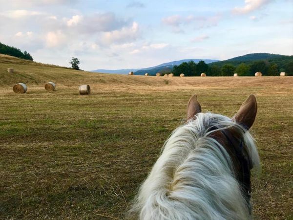Agriturismo San Ottaviano - foto 44083.jpg