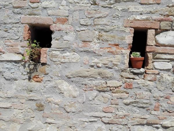 Fattoria di Rigone - foto 44100.jpg