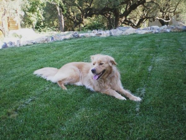 Agriturismo Barna - foto 44140.jpg