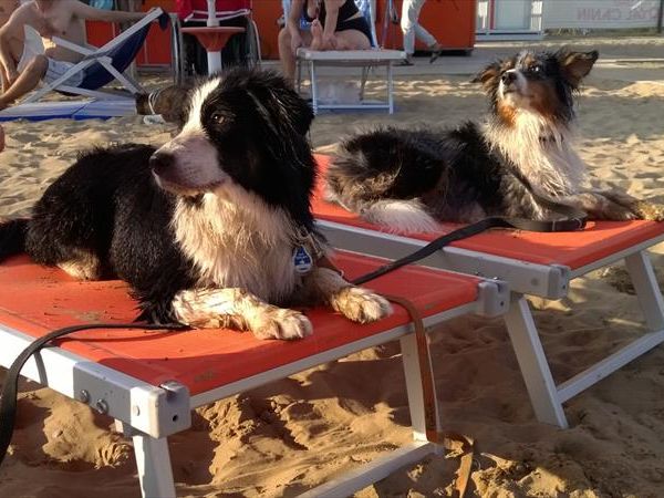 Astoria Beach - foto 44172.jpg