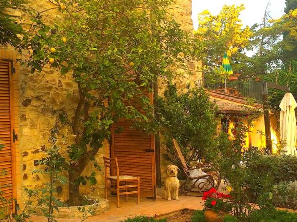 Dolce Vita - foto 44193.jpg