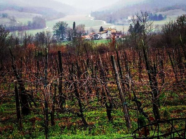 Agriturismo la Casaccia - foto 44217.jpg