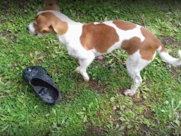 Agriturismo Saragiolo - foto 44344.jpg