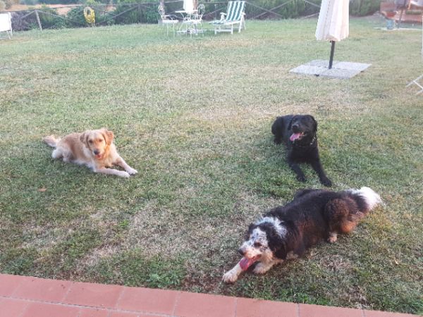 Agriturismo Saragiolo - foto 44360.jpg