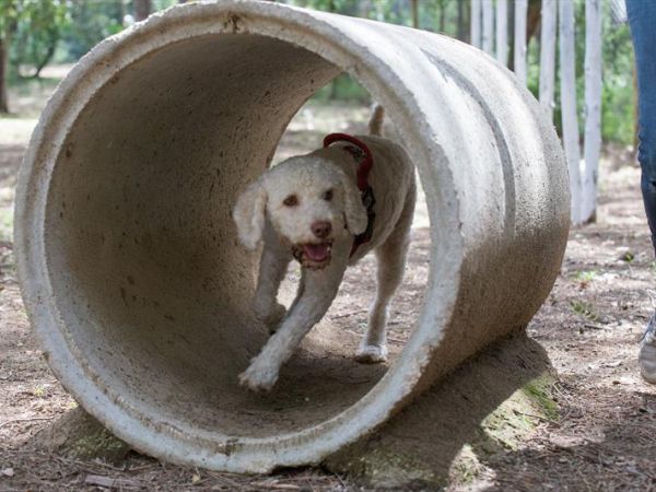 Le Marze - foto 44367.jpg