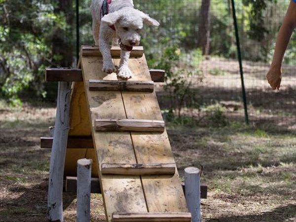 Le Marze - foto 44368.jpg