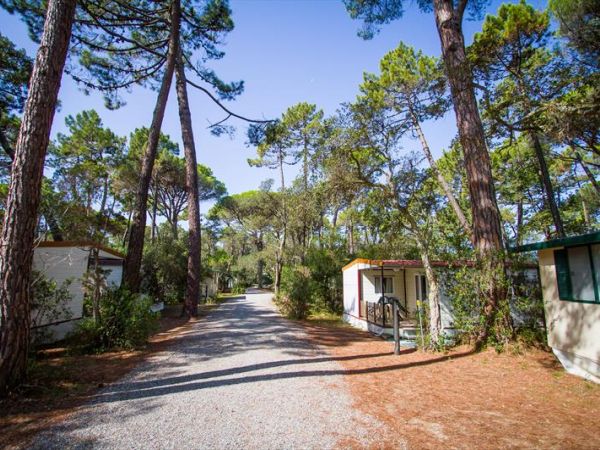 PuntAla Camp & Resort  - foto 44453.jpg