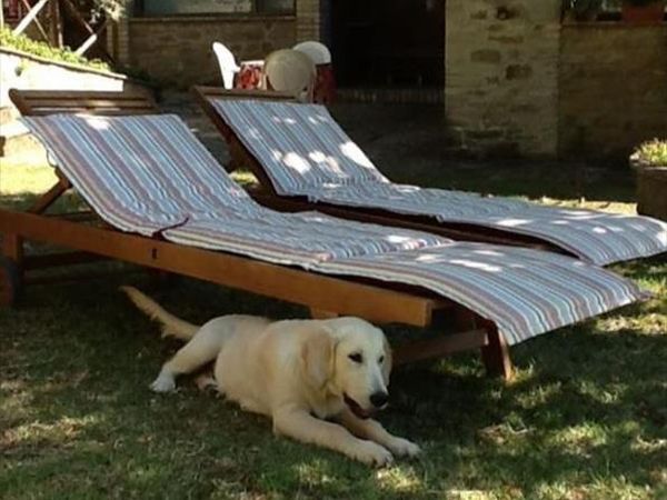 Agriturismo Villa di Giomici - foto 44465.jpg