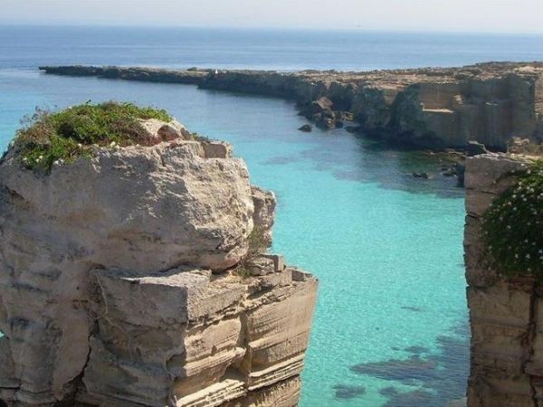 E CI RIVO - foto 44473.jpg