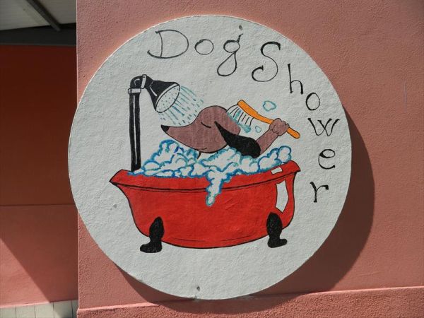 Camping Oasi - foto 44529.jpg