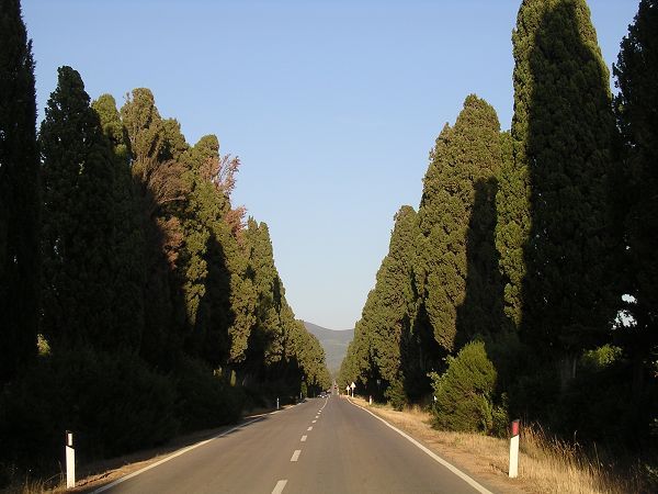 Hotel Il Ponte - foto 2058.jpg