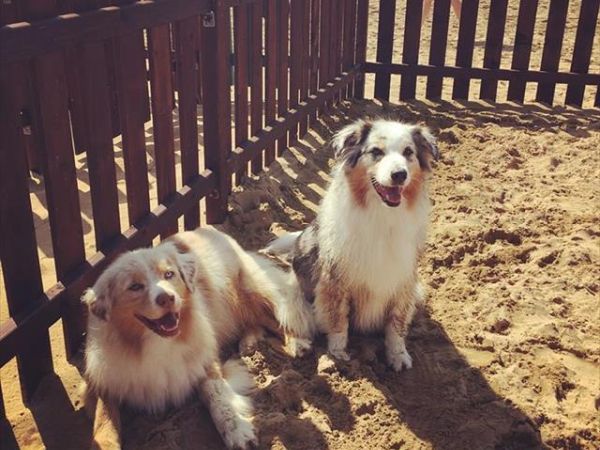 La Spiaggia di Duke - foto 44705.jpg