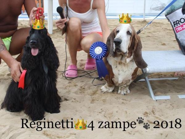 La Spiaggia di Duke - foto 44706.jpg