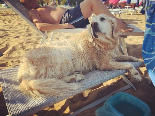 La Spiaggia di Duke - foto 44707.jpg