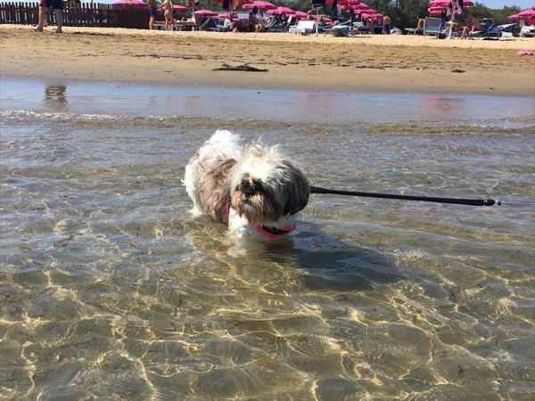 La Spiaggia di Duke - foto 44710.jpg