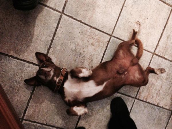 Hotel Punta Chiarito Resort - foto 44758.jpg