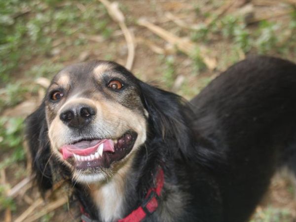 Hotel Punta Chiarito Resort - foto 44759.jpg