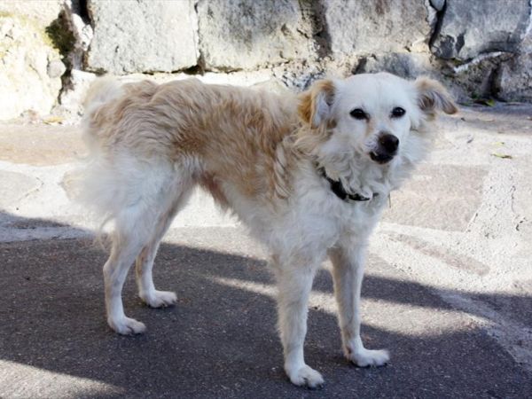 Hotel Punta Chiarito Resort - foto 44760.jpg