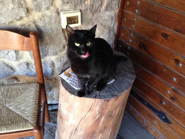 Hotel Punta Chiarito Resort - foto 44762.jpg