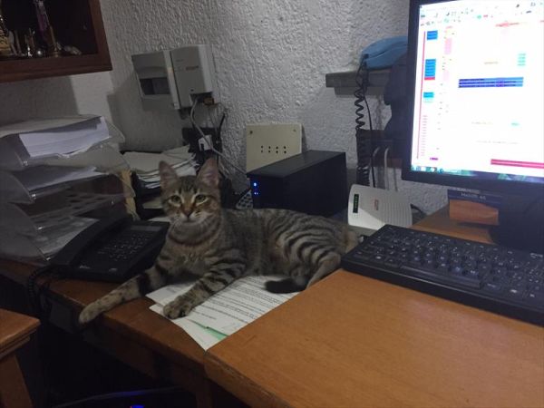 Hotel Punta Chiarito Resort - foto 44763.jpg