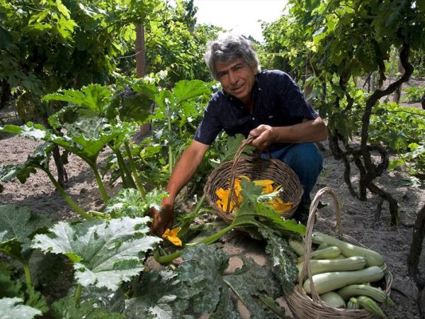 Hotel Punta Chiarito Resort - foto 44772.jpg