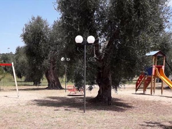 Residence Villa Medina - foto 44775.jpg