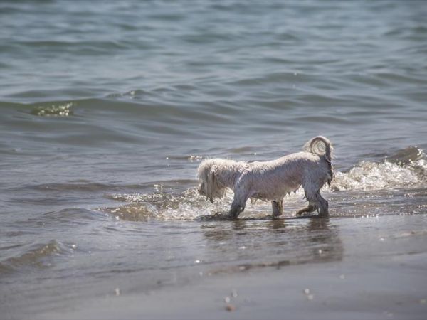 Centro Vacanze Villaggio San Francesco - foto 44812.jpg