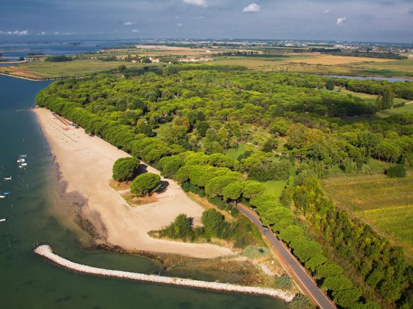 Belvedere Pineta Camping Village  - foto 44876.jpg