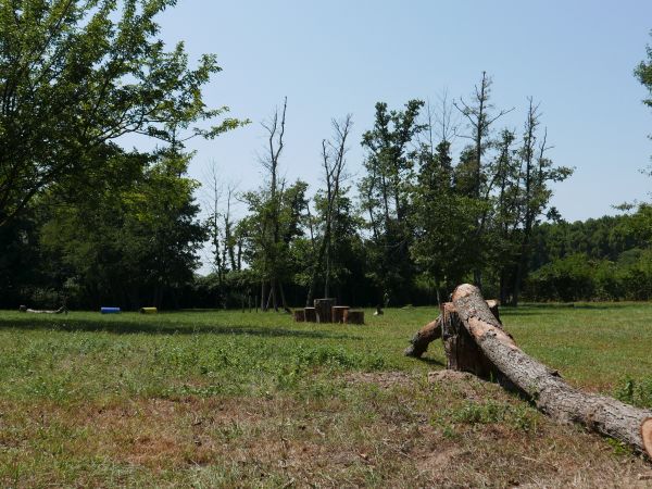 Belvedere Pineta Camping Village  - foto 44878.jpg