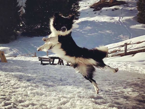 Alledolomiti Boutique Lake Hotel - foto 44886.jpg