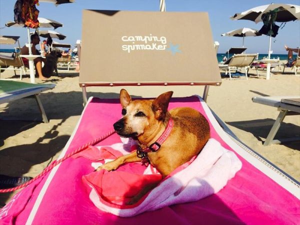 Centro Vacanze Camping Spinnaker - foto 44925.jpg