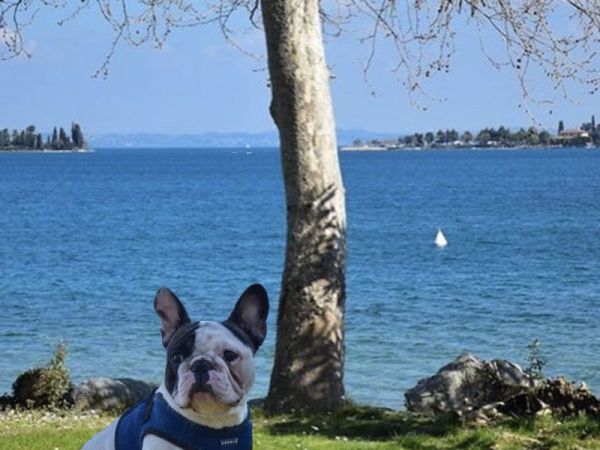 Camping Village Europa Silvella - foto 44959.jpg