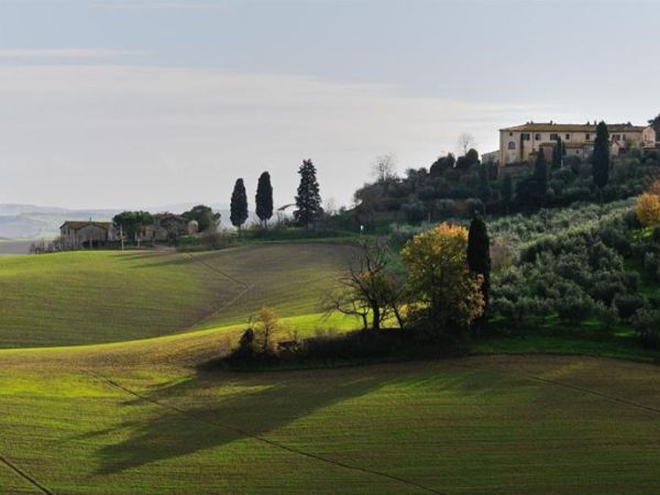 Agriturismo Bellavista Toscana - foto 45182.jpg