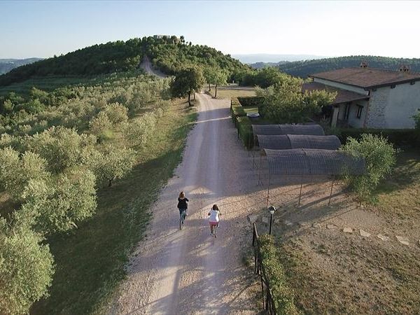 Tenuta Forte Sorgnano - foto 45358.jpg