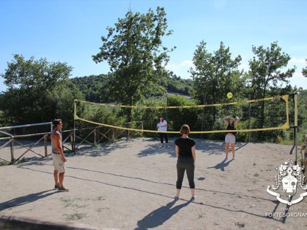 Tenuta Forte Sorgnano - foto 45361.jpg