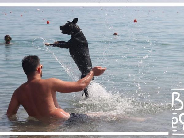 Baba Beach  - foto 45467.jpg