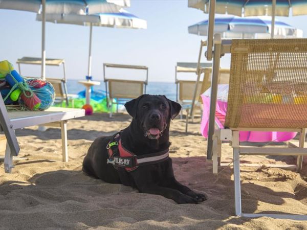 Vascellero Club Resort - foto 45498.jpg